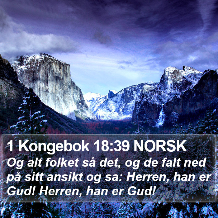 1 Kongebok 18:39 NORSK Bible Study