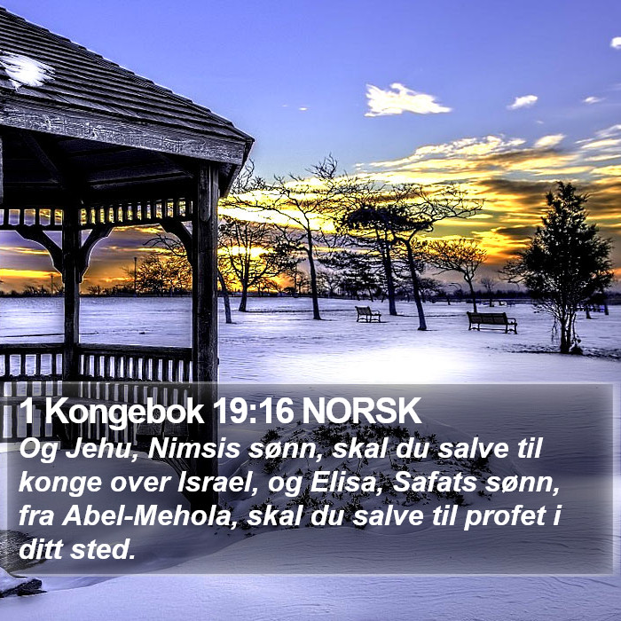 1 Kongebok 19:16 NORSK Bible Study