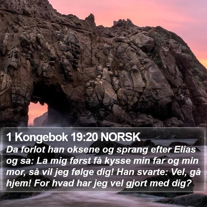 1 Kongebok 19:20 NORSK Bible Study