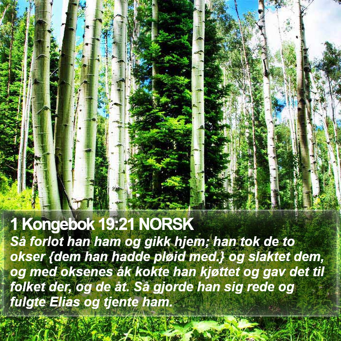 1 Kongebok 19:21 NORSK Bible Study