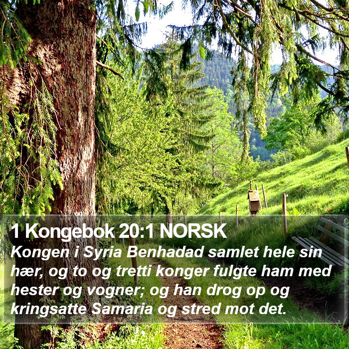 1 Kongebok 20:1 NORSK Bible Study