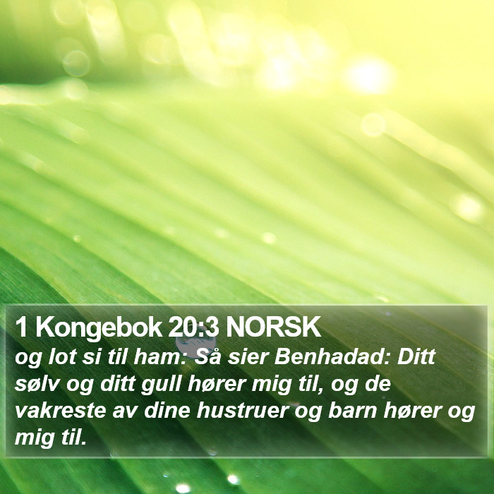 1 Kongebok 20:3 NORSK Bible Study