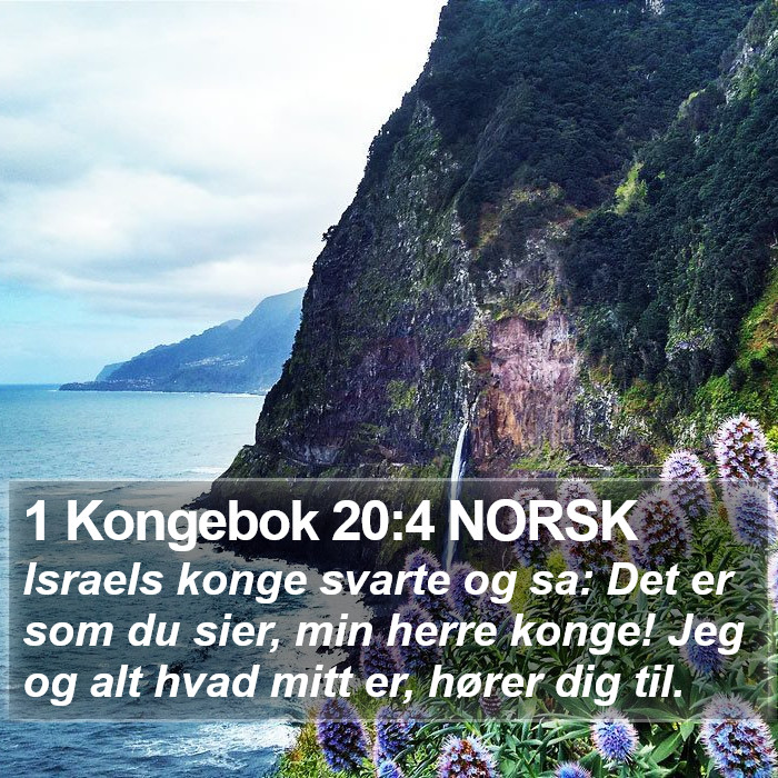 1 Kongebok 20:4 NORSK Bible Study