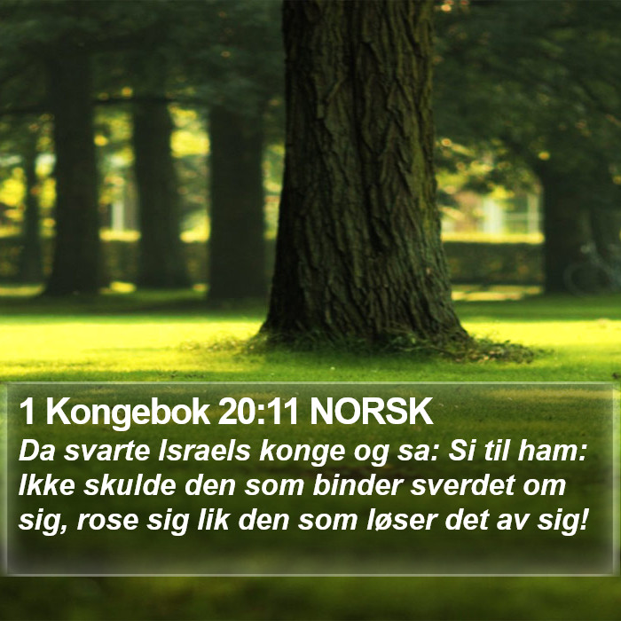 1 Kongebok 20:11 NORSK Bible Study