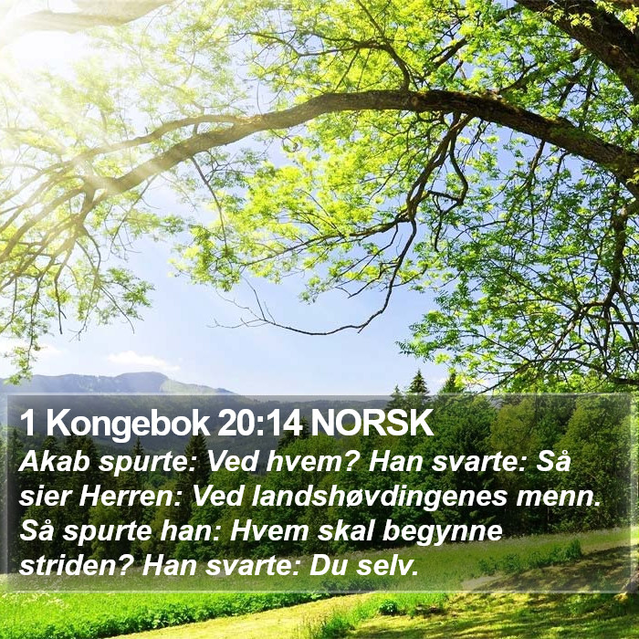 1 Kongebok 20:14 NORSK Bible Study