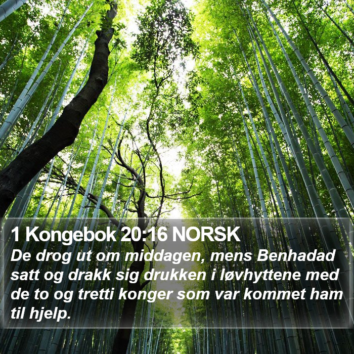 1 Kongebok 20:16 NORSK Bible Study