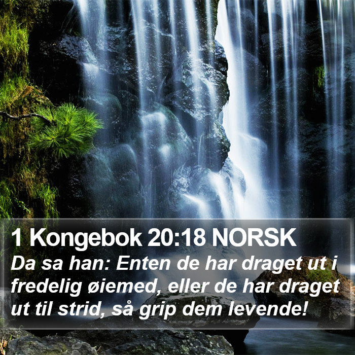 1 Kongebok 20:18 NORSK Bible Study