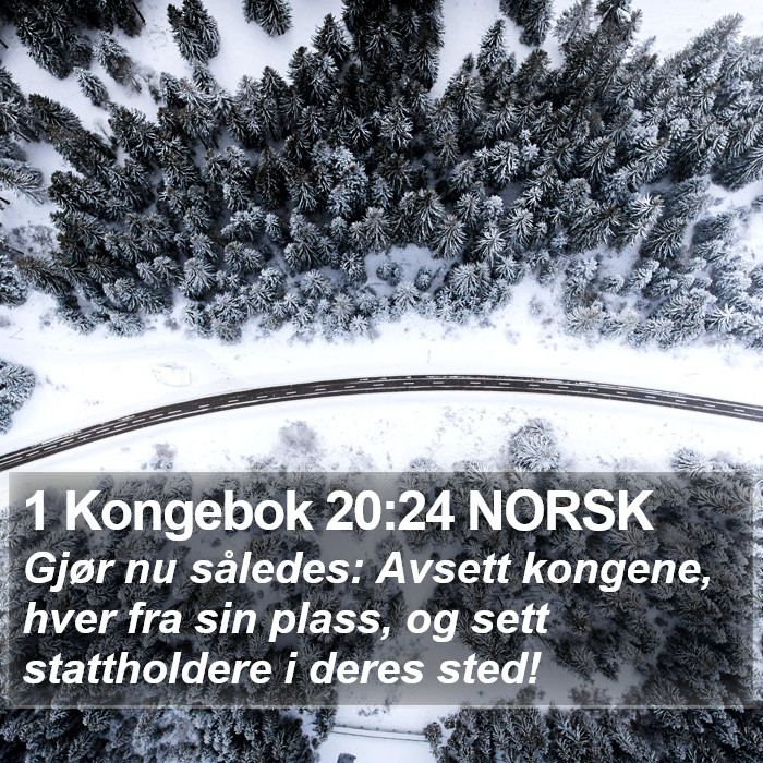 1 Kongebok 20:24 NORSK Bible Study