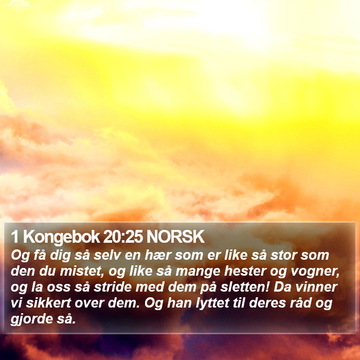 1 Kongebok 20:25 NORSK Bible Study