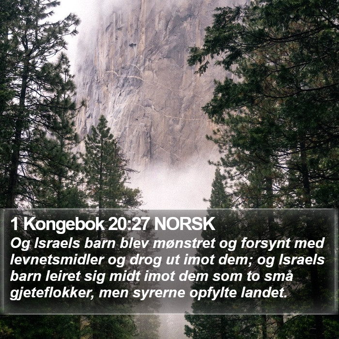 1 Kongebok 20:27 NORSK Bible Study