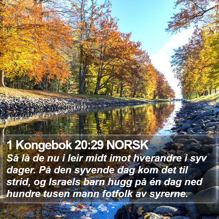 1 Kongebok 20:29 NORSK Bible Study