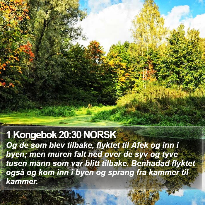 1 Kongebok 20:30 NORSK Bible Study