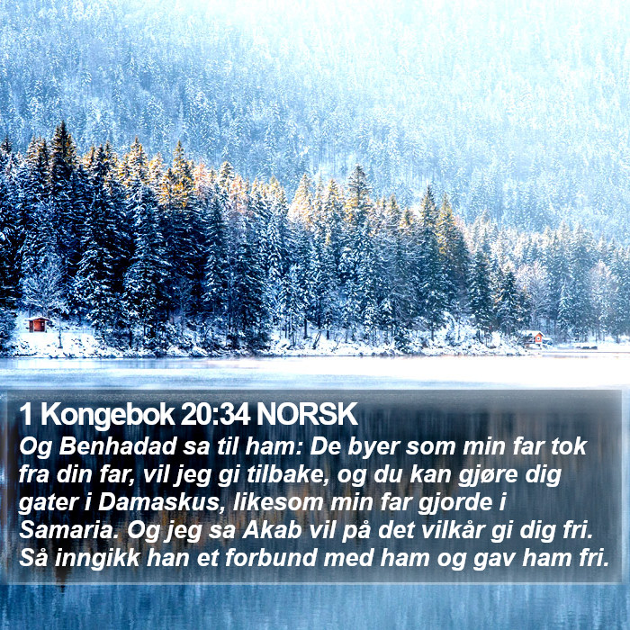 1 Kongebok 20:34 NORSK Bible Study