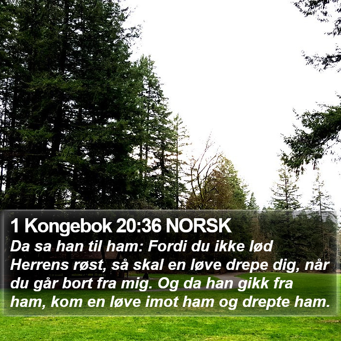 1 Kongebok 20:36 NORSK Bible Study