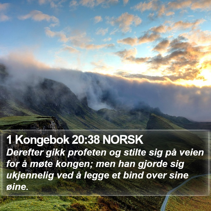 1 Kongebok 20:38 NORSK Bible Study