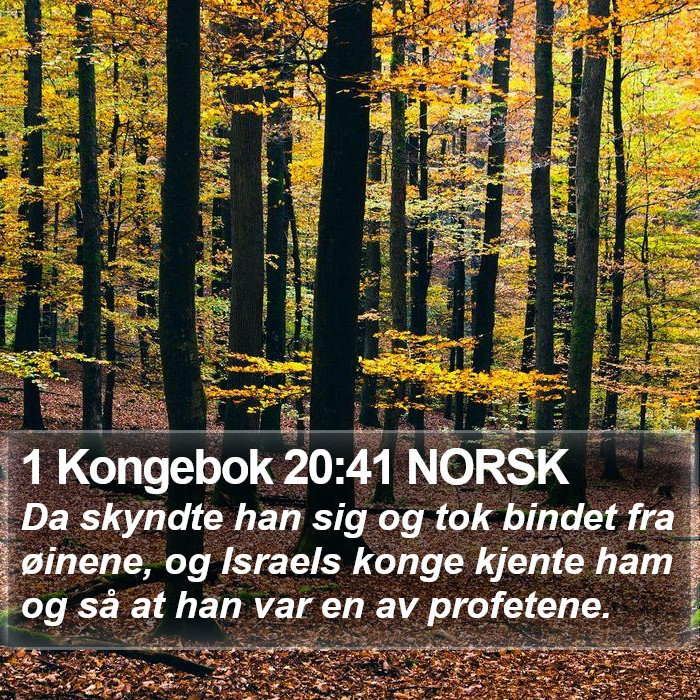 1 Kongebok 20:41 NORSK Bible Study