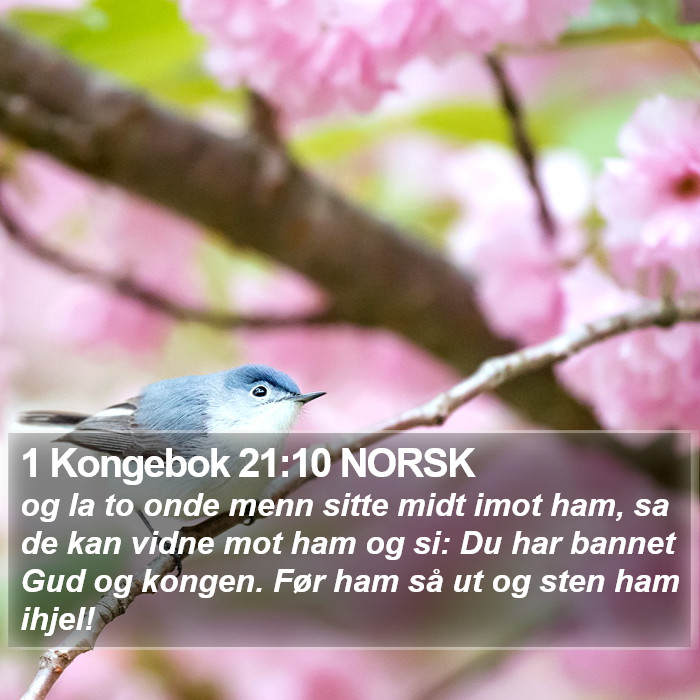 1 Kongebok 21:10 NORSK Bible Study