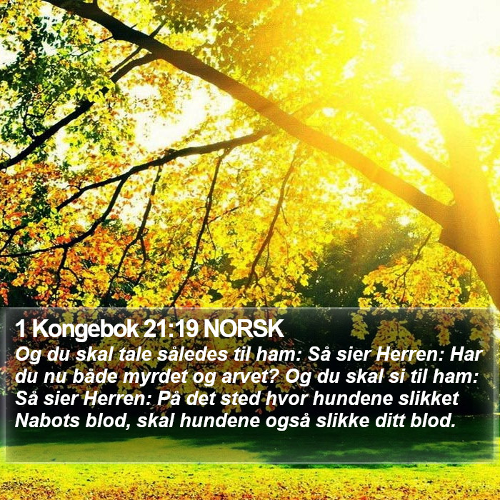 1 Kongebok 21:19 NORSK Bible Study