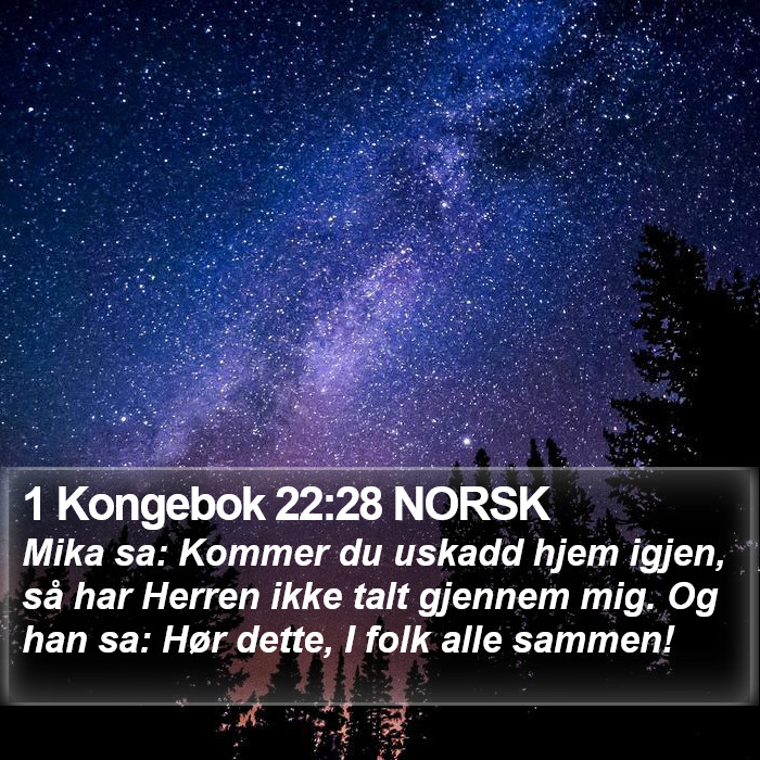 1 Kongebok 22:28 NORSK Bible Study