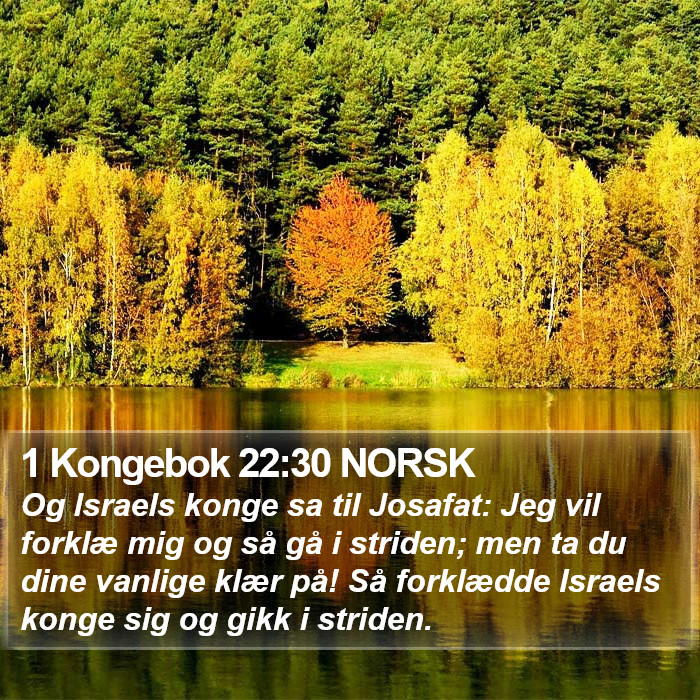 1 Kongebok 22:30 NORSK Bible Study