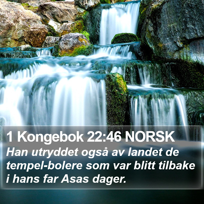 1 Kongebok 22:46 NORSK Bible Study