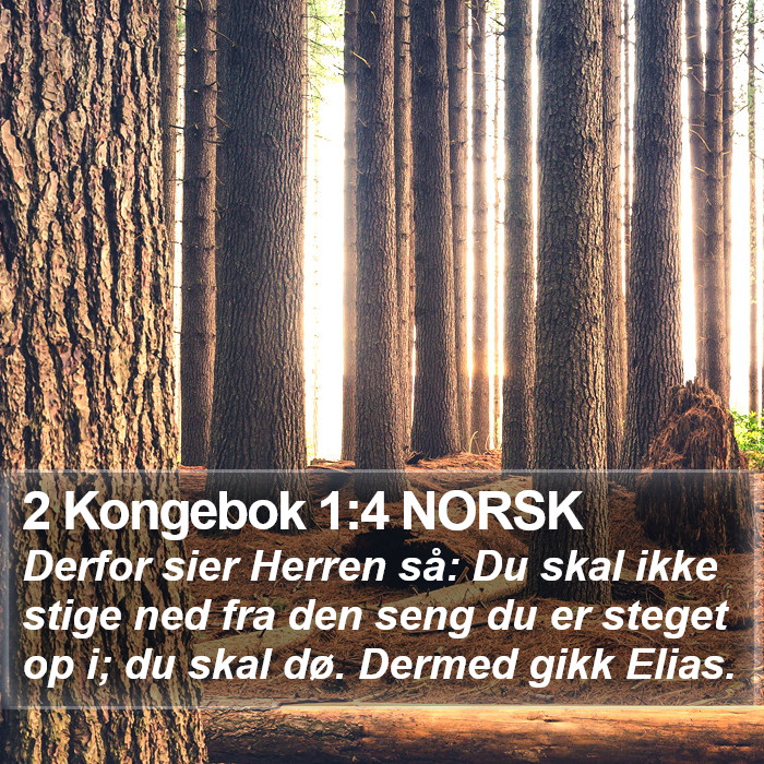 2 Kongebok 1:4 NORSK Bible Study