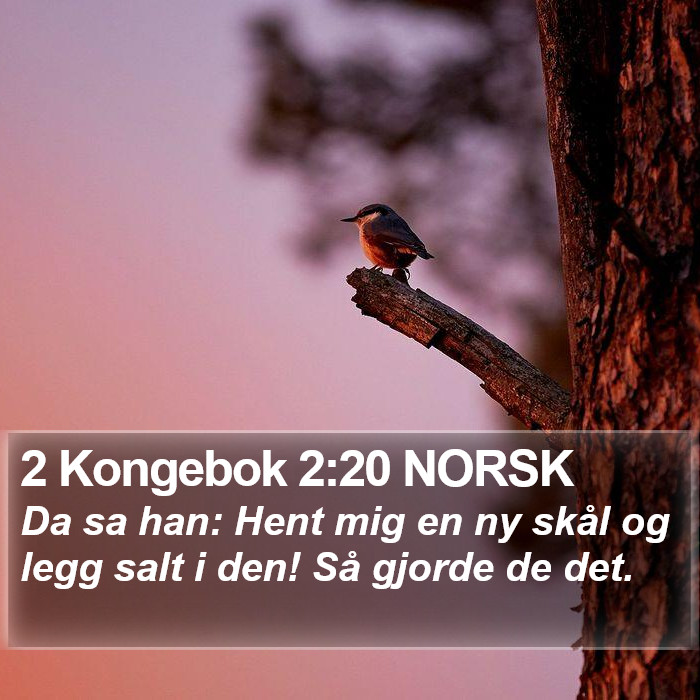 2 Kongebok 2:20 NORSK Bible Study