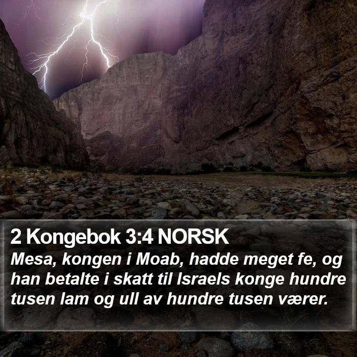 2 Kongebok 3:4 NORSK Bible Study