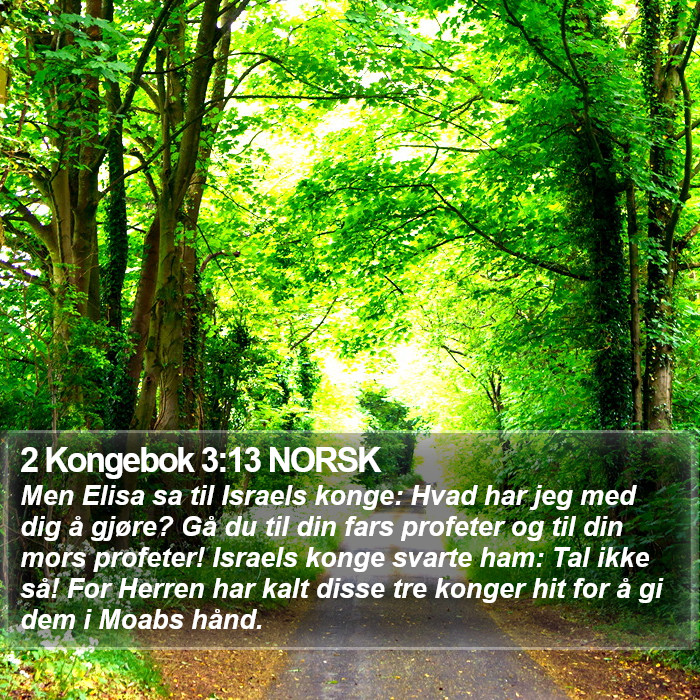 2 Kongebok 3:13 NORSK Bible Study