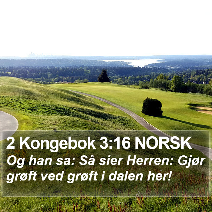 2 Kongebok 3:16 NORSK Bible Study