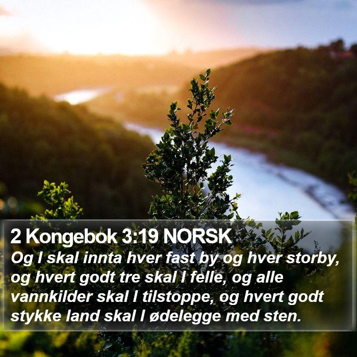 2 Kongebok 3:19 NORSK Bible Study