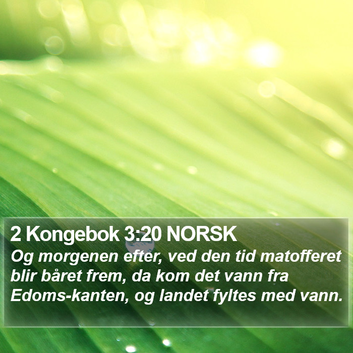 2 Kongebok 3:20 NORSK Bible Study