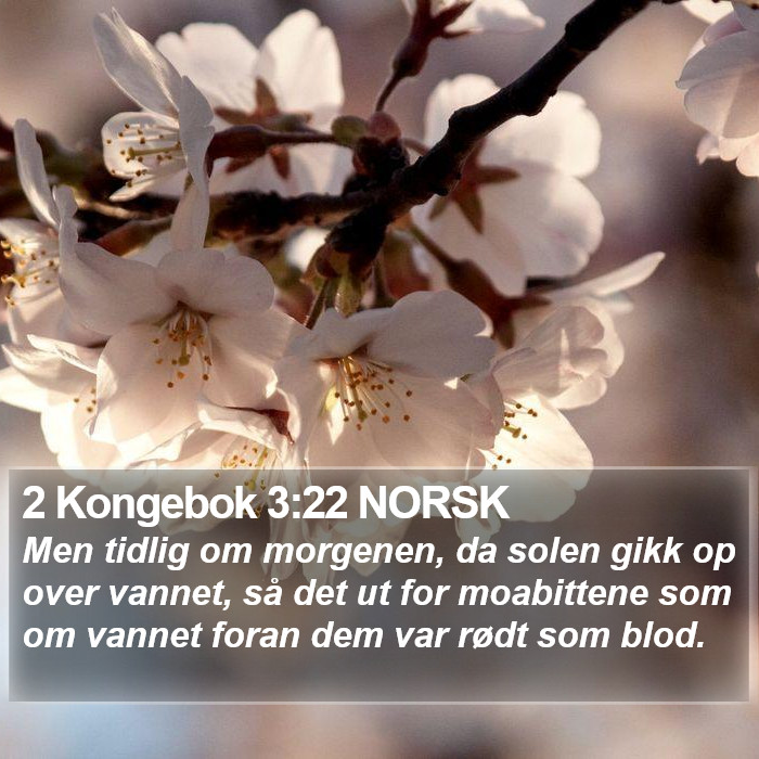 2 Kongebok 3:22 NORSK Bible Study