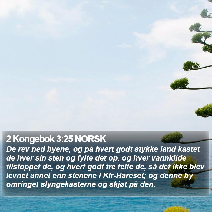 2 Kongebok 3:25 NORSK Bible Study