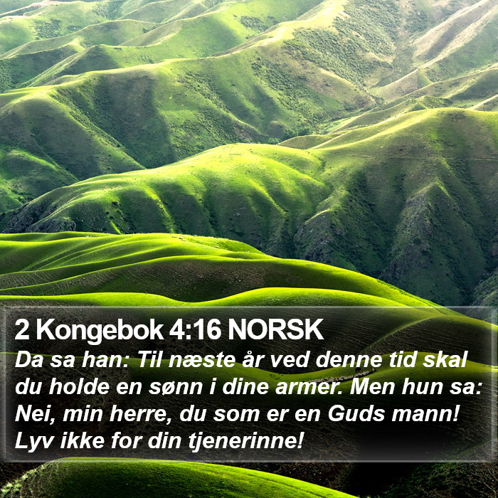 2 Kongebok 4:16 NORSK Bible Study