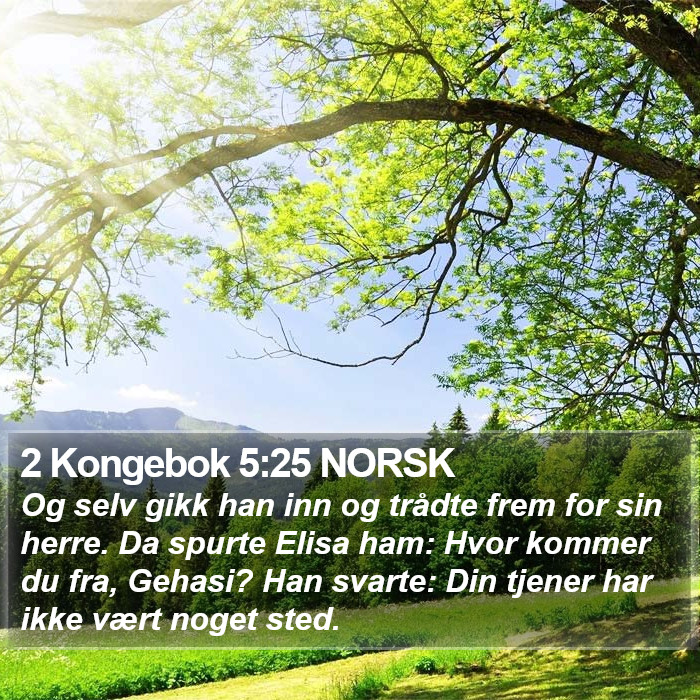 2 Kongebok 5:25 NORSK Bible Study