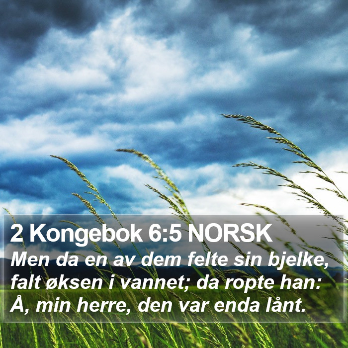 2 Kongebok 6:5 NORSK Bible Study