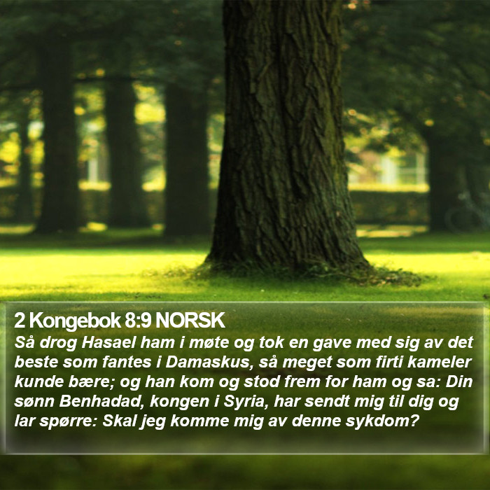 2 Kongebok 8:9 NORSK Bible Study