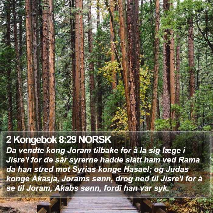 2 Kongebok 8:29 NORSK Bible Study