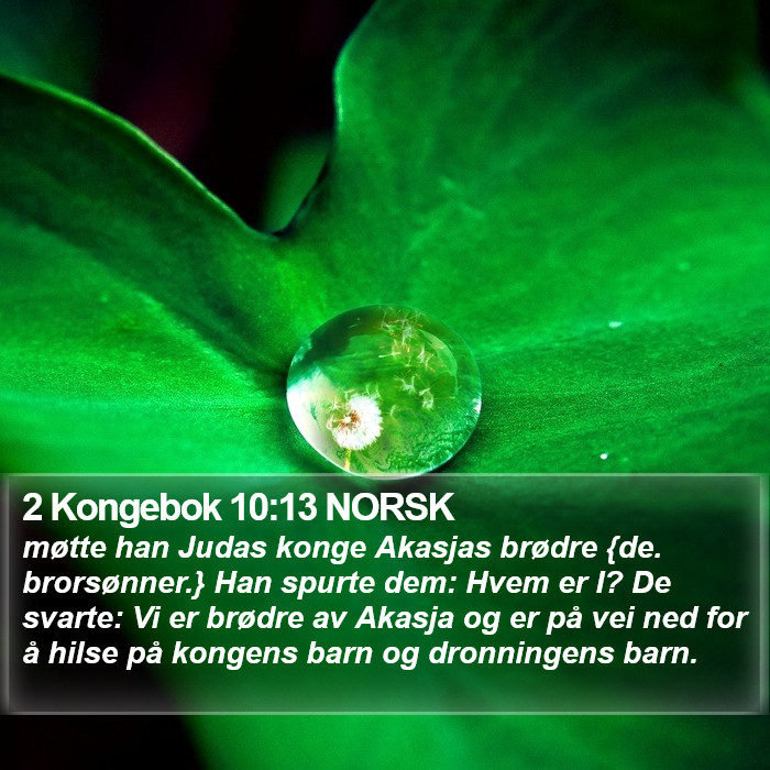 2 Kongebok 10:13 NORSK Bible Study