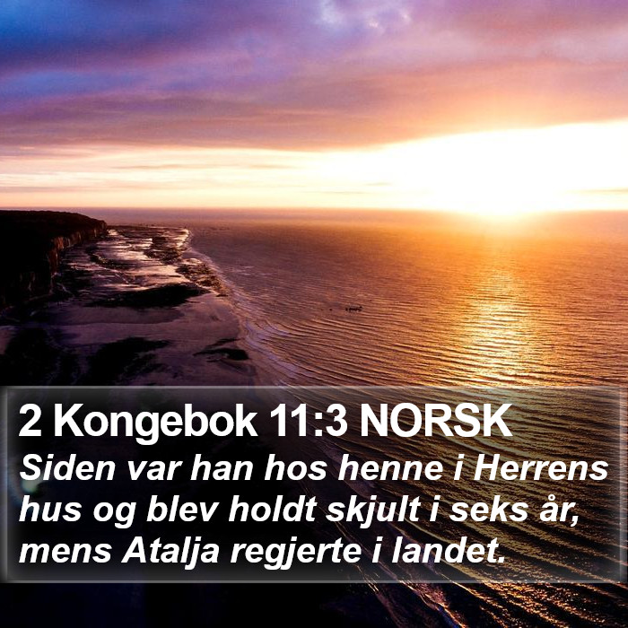 2 Kongebok 11:3 NORSK Bible Study