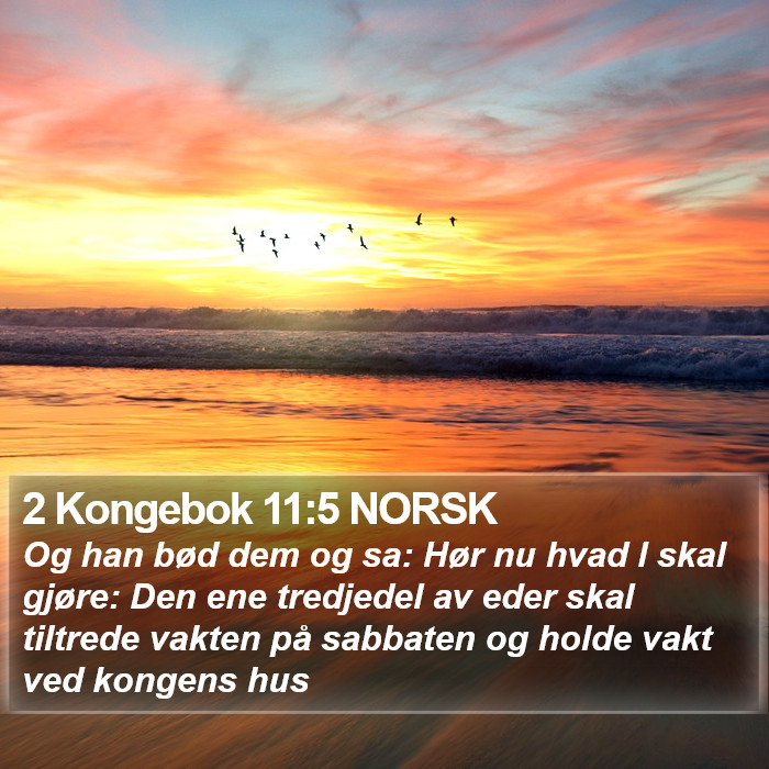 2 Kongebok 11:5 NORSK Bible Study