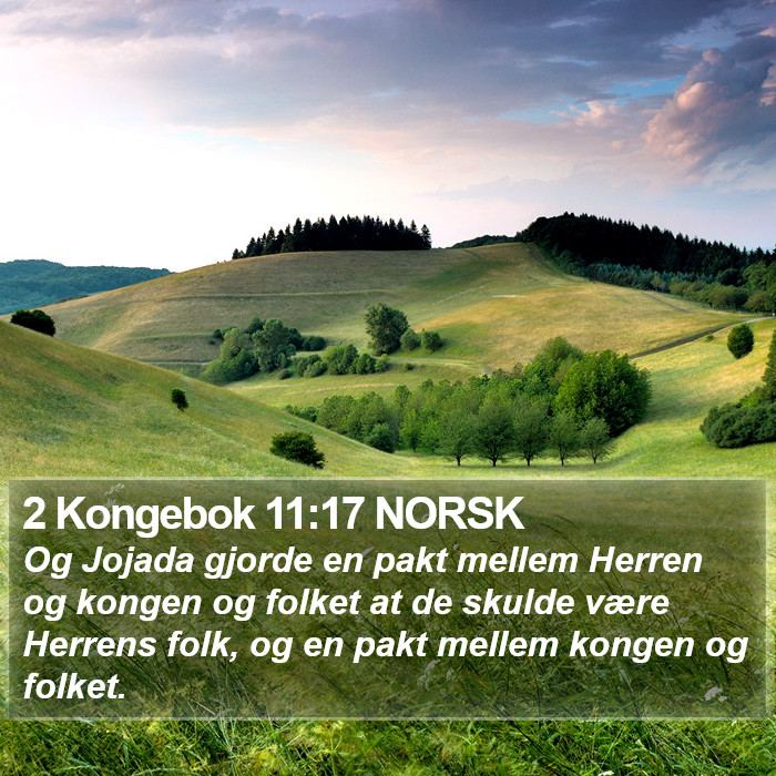 2 Kongebok 11:17 NORSK Bible Study