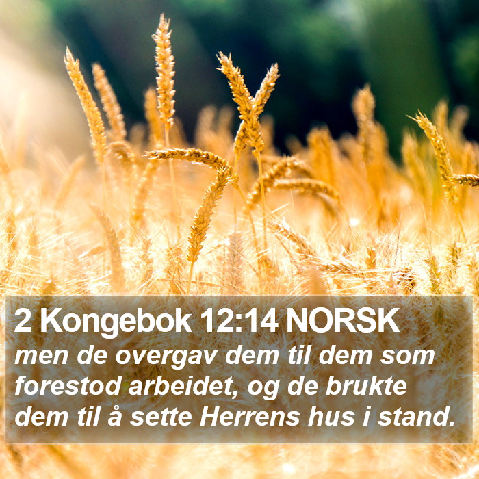 2 Kongebok 12:14 NORSK Bible Study