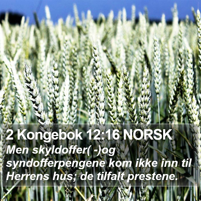 2 Kongebok 12:16 NORSK Bible Study