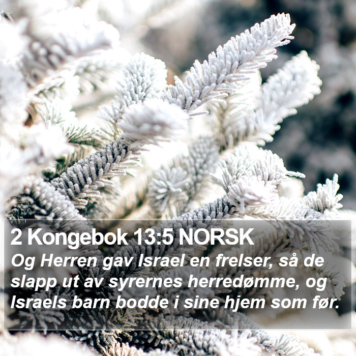 2 Kongebok 13:5 NORSK Bible Study