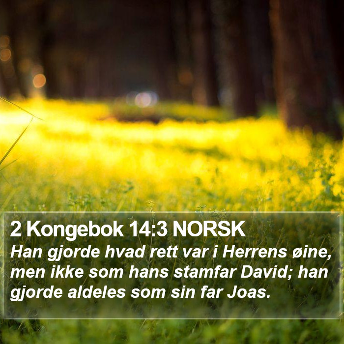 2 Kongebok 14:3 NORSK Bible Study