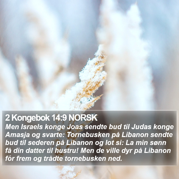 2 Kongebok 14:9 NORSK Bible Study