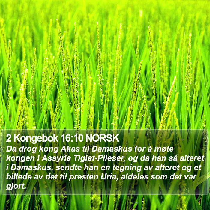 2 Kongebok 16:10 NORSK Bible Study