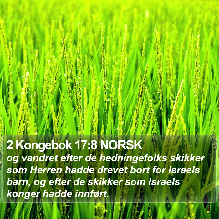 2 Kongebok 17:8 NORSK Bible Study